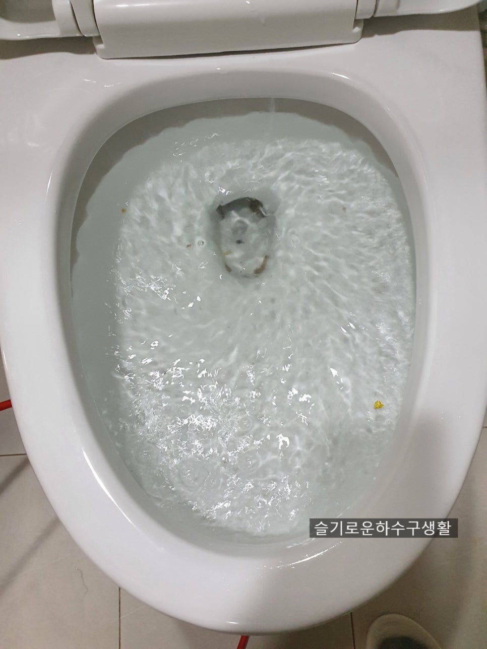 수원변기막힘 변기볼팬 빼내기 권선구 영통구 변기뚫음 현장 상황
