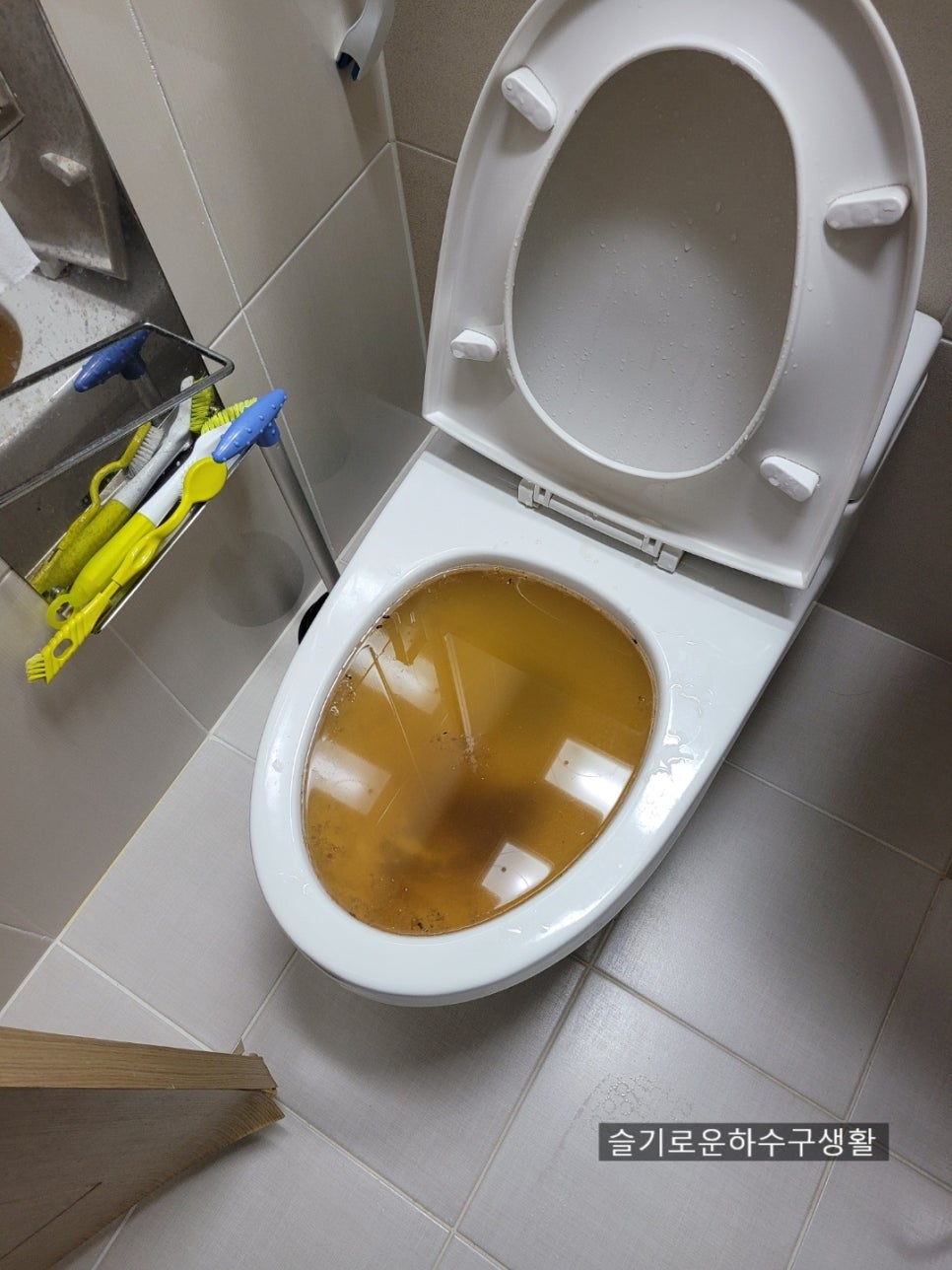 변기 막힘 해결 이물질 제거 원인 분석