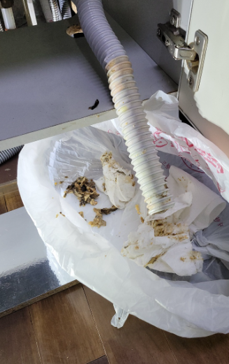 작업 과정 사진 2