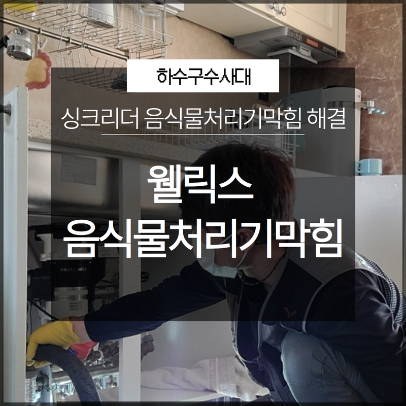 웰릭스 싱크리더 음식물처리기막힘 해결 완료 원인 분석