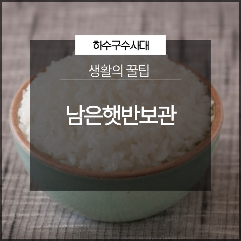남은햇반보관 생활의 꿀팁