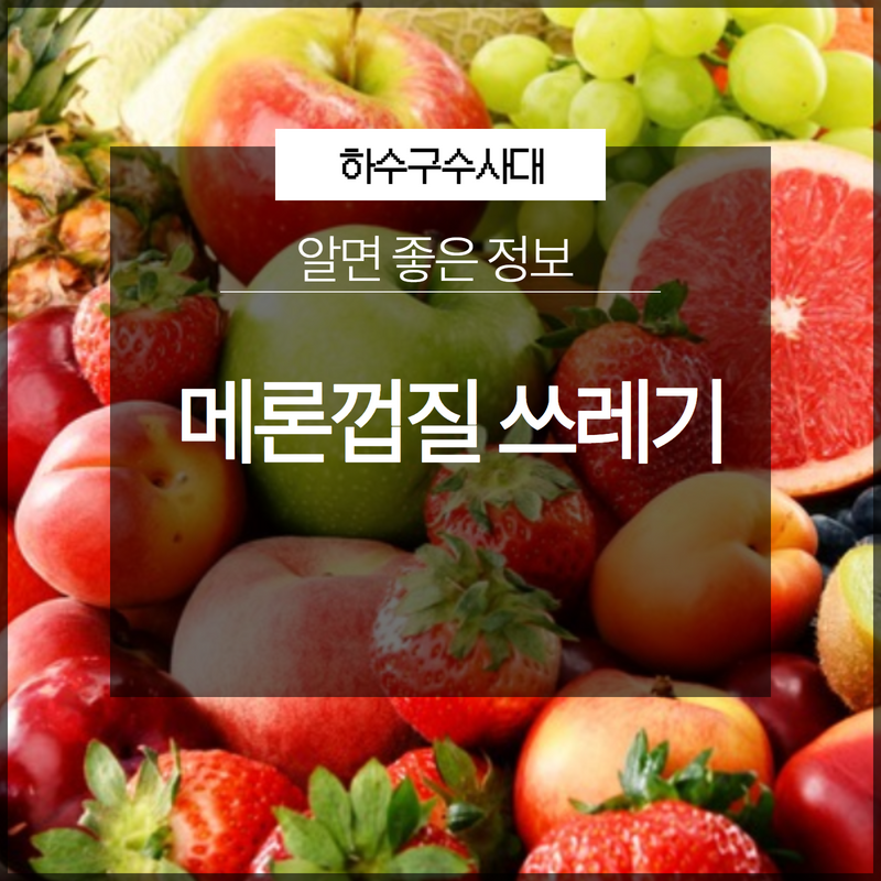 메론껍질 음식물 쓰레기 배출 방법 원인 분석