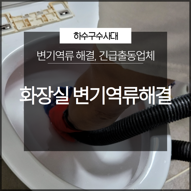 화장실 변기역류 해결전문 긴급출동업체 정확한 문제 해결! 원인 분석