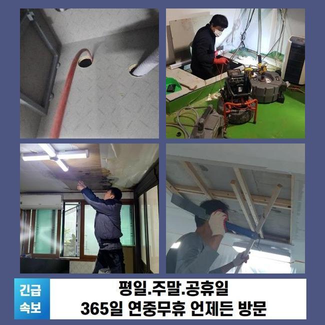 일산 식사동욕실역류 문봉동 하수구뚫는업체 누수공사 원인 분석