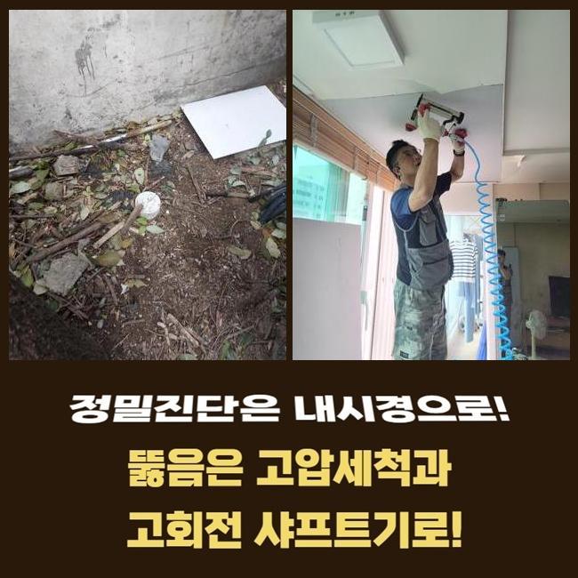 작업 과정 사진 2