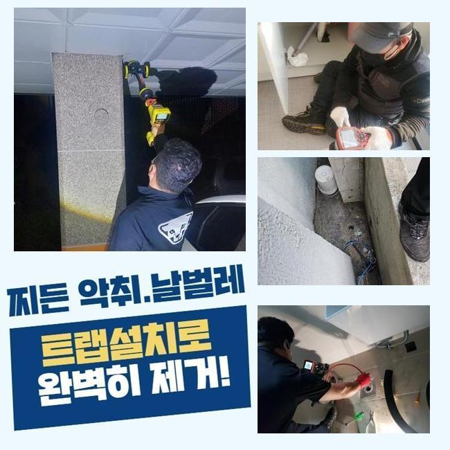 강서구 화곡동세탁실막힘 오쇠동 배수구뚫기 해결방법 원인 분석