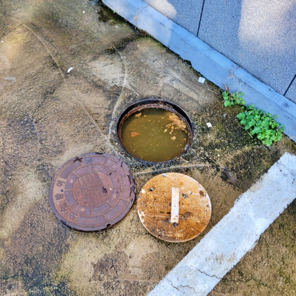 작업 과정 사진 2